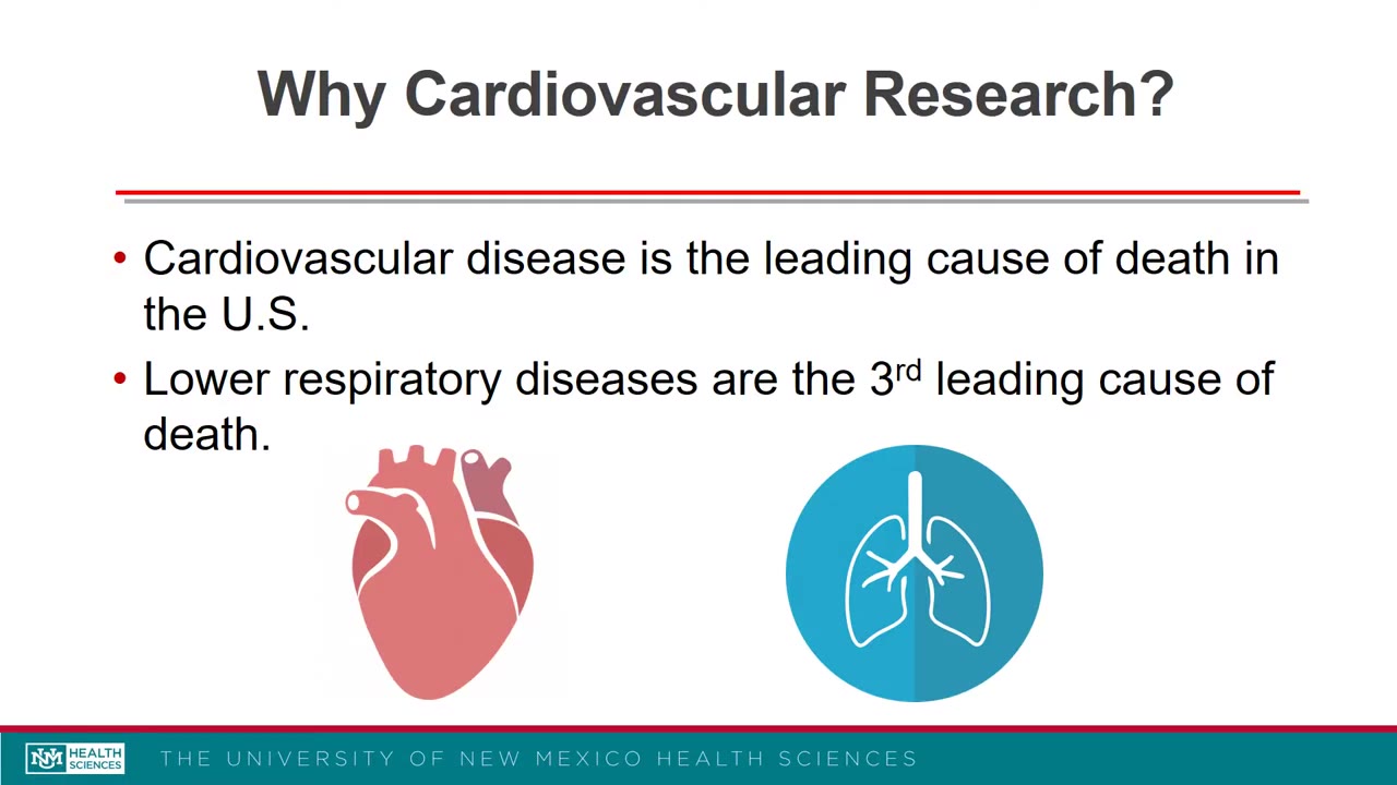 Why Study Cardiovascular Research?
