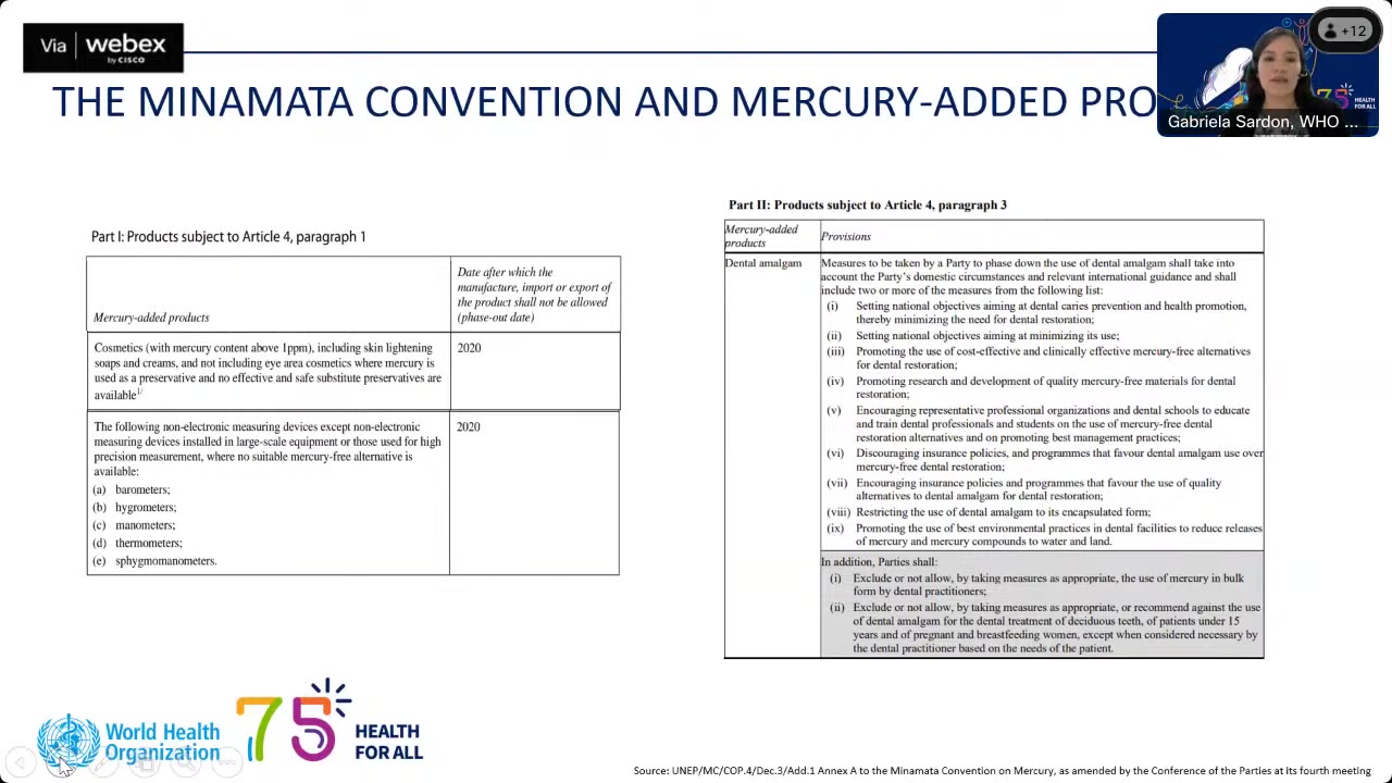 Minamata Convention on Mercury