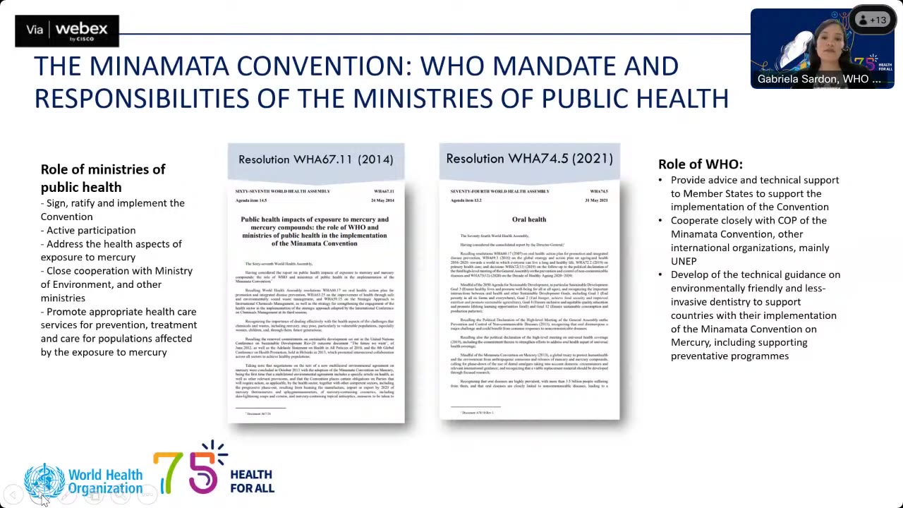 Article 4: Mercury-Added Products