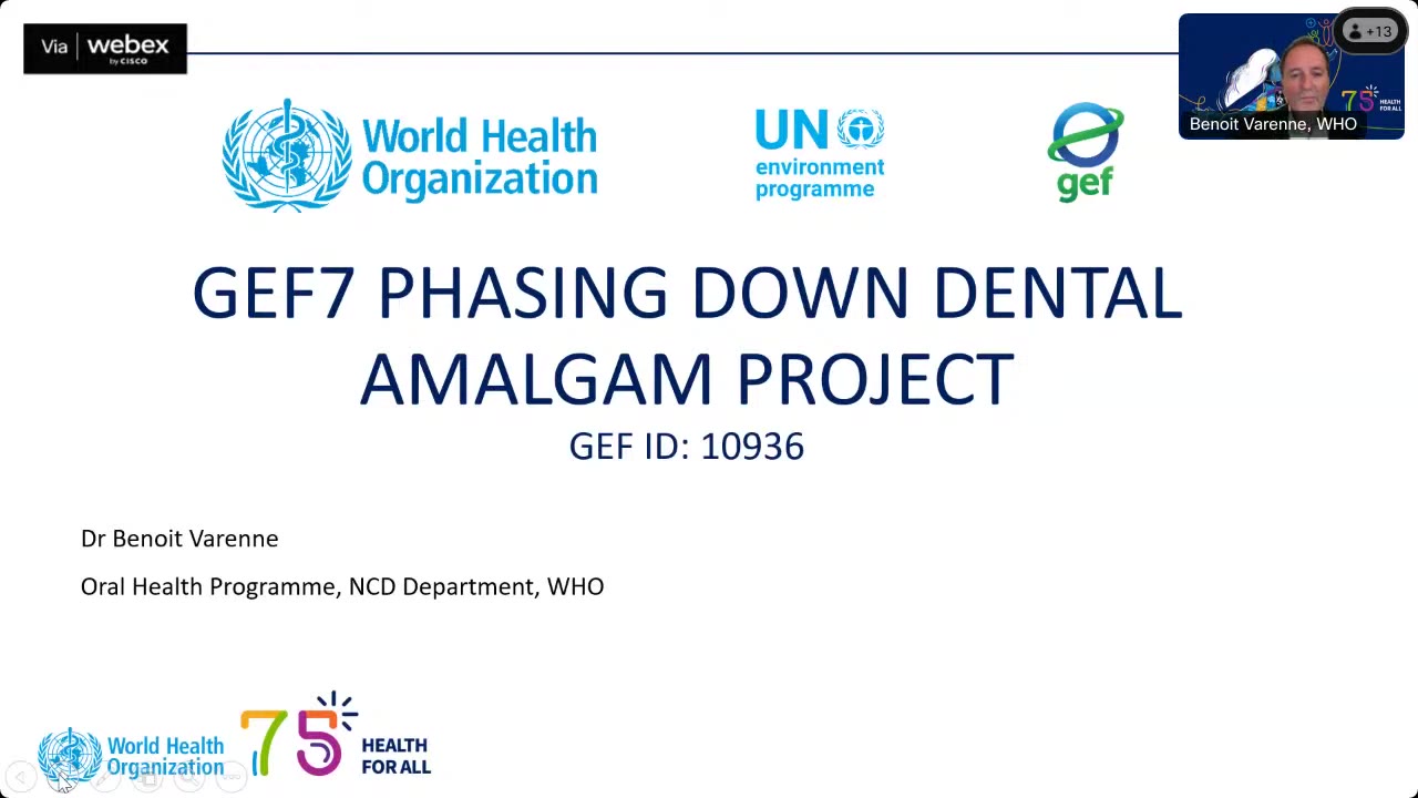 Health Sector's Role